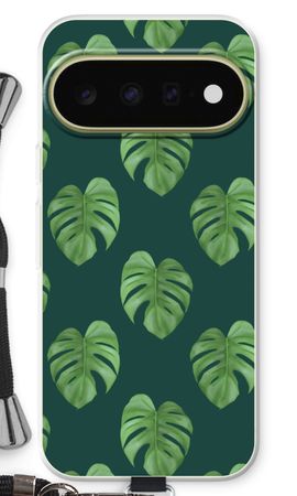 Monstera leaves