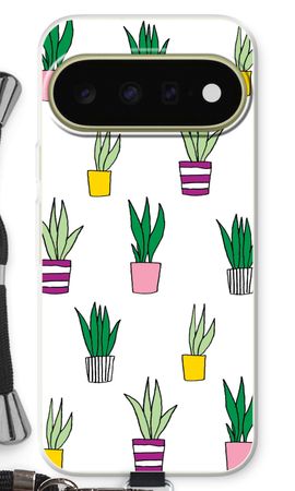 Sanseveria