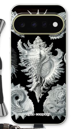 Haeckel Prosobranchia