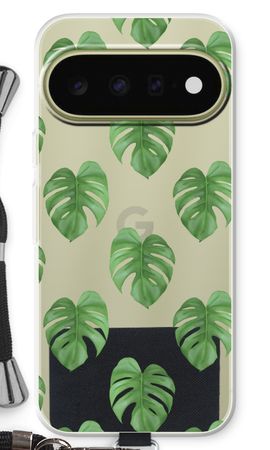 Monstera leaves
