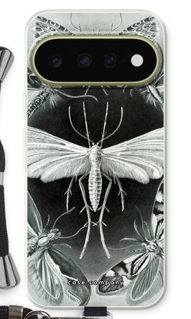 Haeckel Tineida