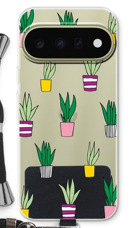 Sanseveria