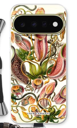 Haeckel Nepenthaceae