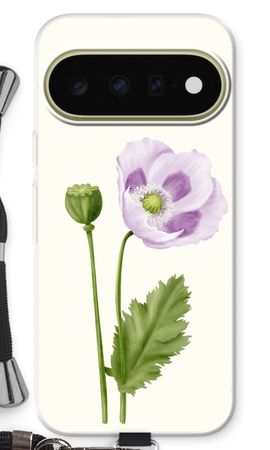 Purple poppy