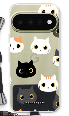 Cats
