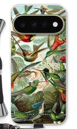 Haeckel Trochilidae