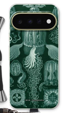 Haeckel Cubomedusae