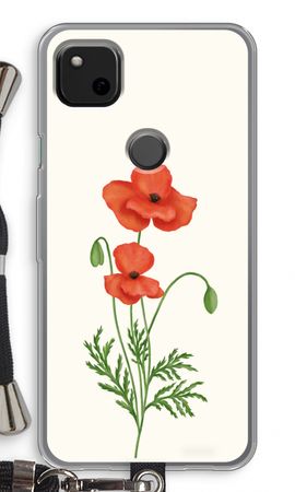 Red poppy