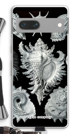 Haeckel Prosobranchia