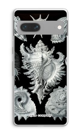 Haeckel Prosobranchia