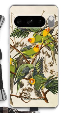Carolina Parrot
