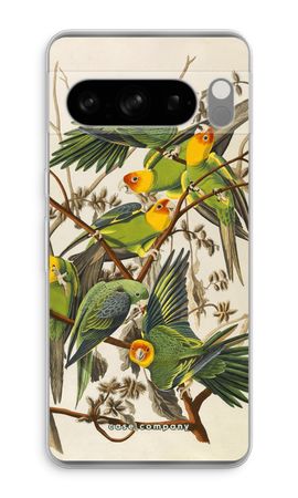 Carolina Parrot