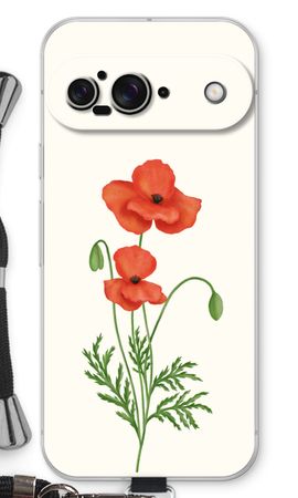 Red poppy