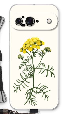 Tansy