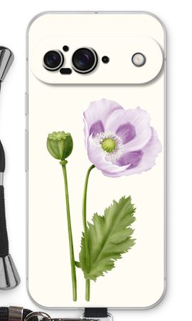 Purple poppy
