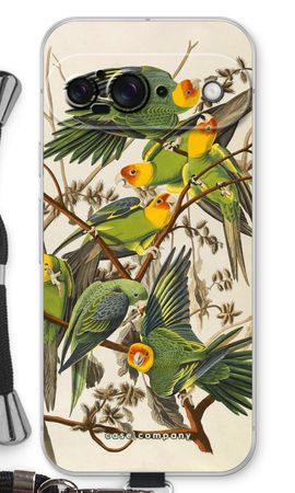 Carolina Parrot