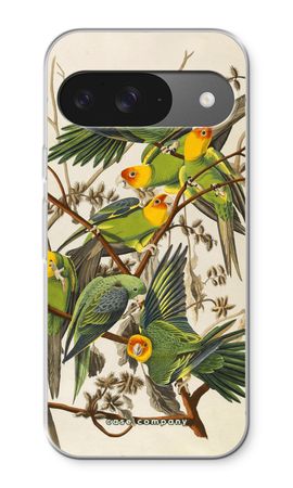 Carolina Parrot