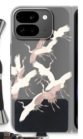 Japanese Crane Birds