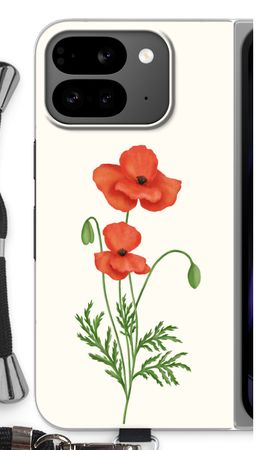 Red poppy