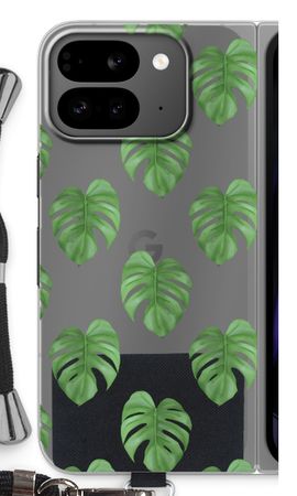 Monstera leaves