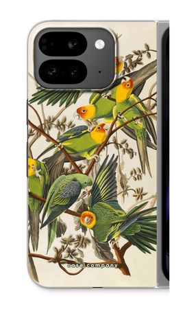 Carolina Parrot