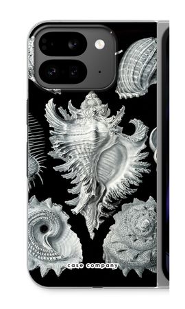 Haeckel Prosobranchia