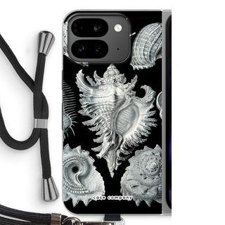 Haeckel Prosobranchia