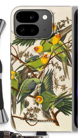 Carolina Parrot