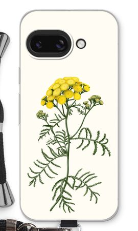 Tansy