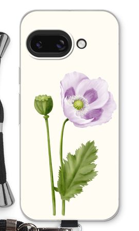 Purple poppy