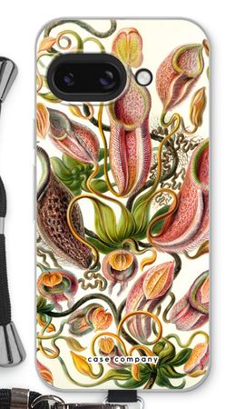 Haeckel Nepenthaceae