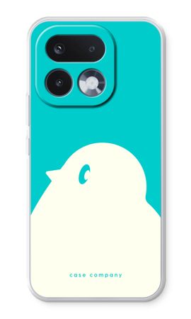 BIG Robin 2