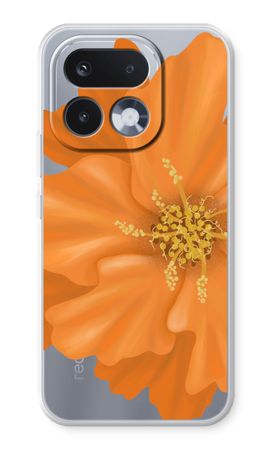 Orange Ellila flower