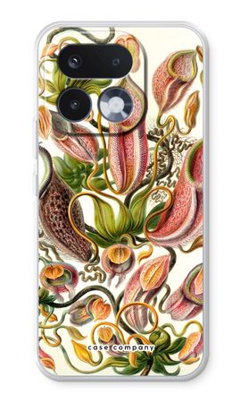 Haeckel Nepenthaceae