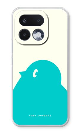 BIG Robin 1