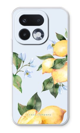 Orchard Sun