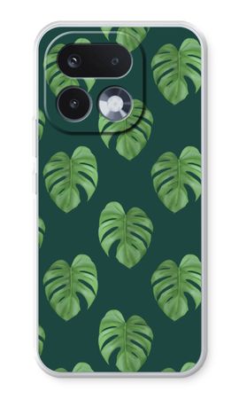 Monstera leaves