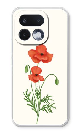 Red poppy