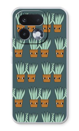 Sansevieria
