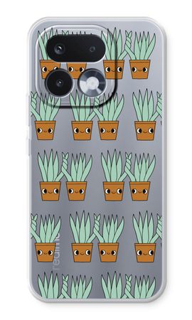 Sansevieria