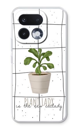 Houseplant on windowpane