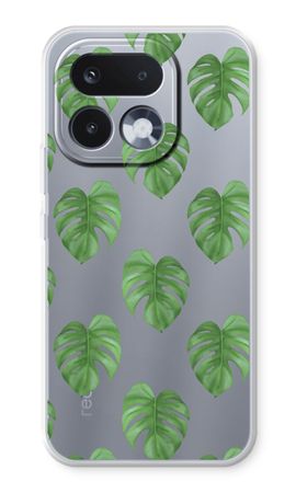 Monstera leaves