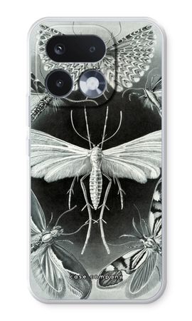 Haeckel Tineida