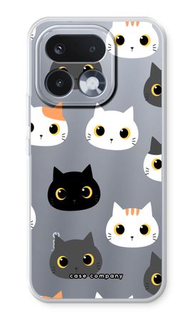 Cats