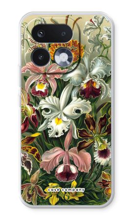 Haeckel Orchidae