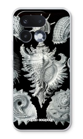 Haeckel Prosobranchia