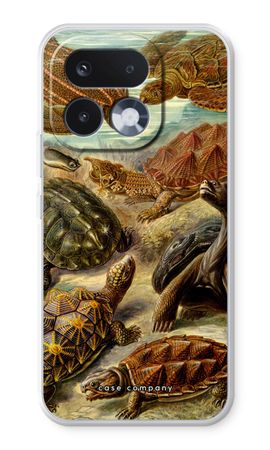 Haeckel Chelonia