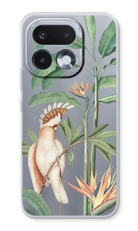 Tropical Parrot