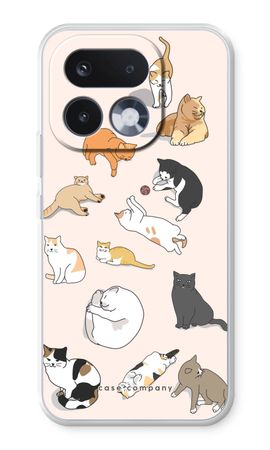 Cats