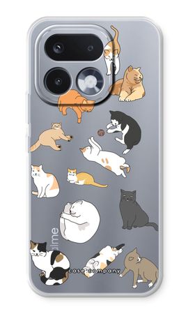 Cats